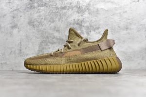 Adidas Yeezy Boost 350V2