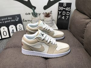 Air Jordan 1 Mid AJ1 Joe 1 low