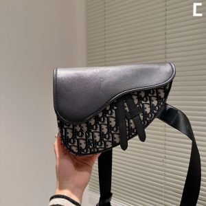 Dior saddle bag (Multicolor)