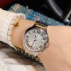 Cartier Ballon Bleu collections