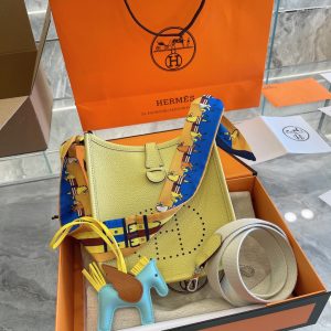 Hermes Mini evelyne
