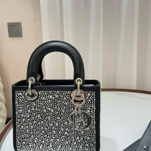 Lady Dior (Multicolor)