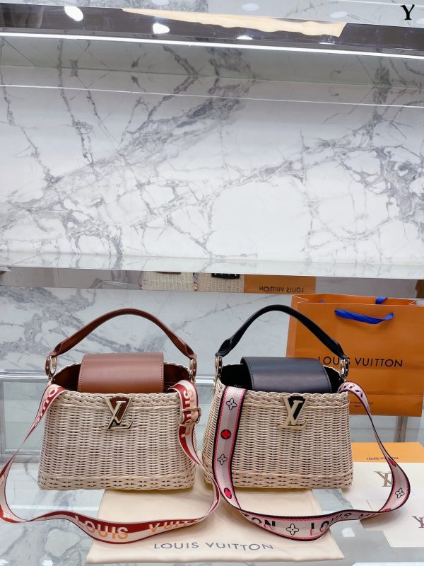 LV CAPUCINES handbag (Multicolor)