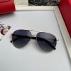 Cartier polarized sunglasses