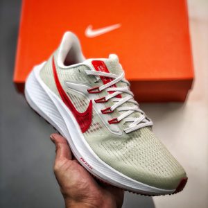 Nike Air Zoom Pegasus 39