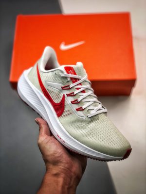 Nike Air Zoom Pegasus 39