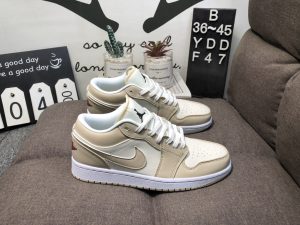 Air Jordan 1 Mid AJ1 Joe 1 low